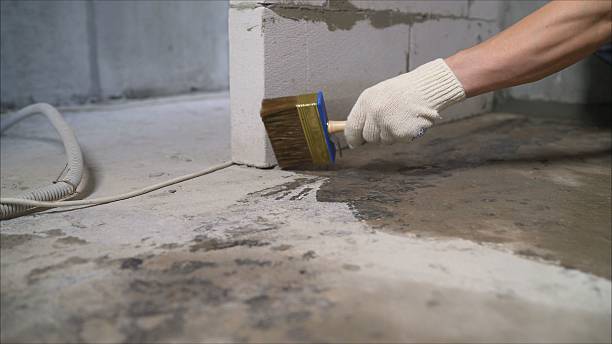 24/7 Emergency Exterior Waterproofing experts in Warrior, AL